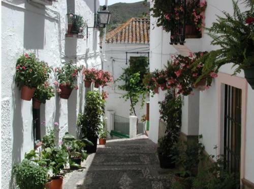 "El Porton" Apartment Borge Exterior photo